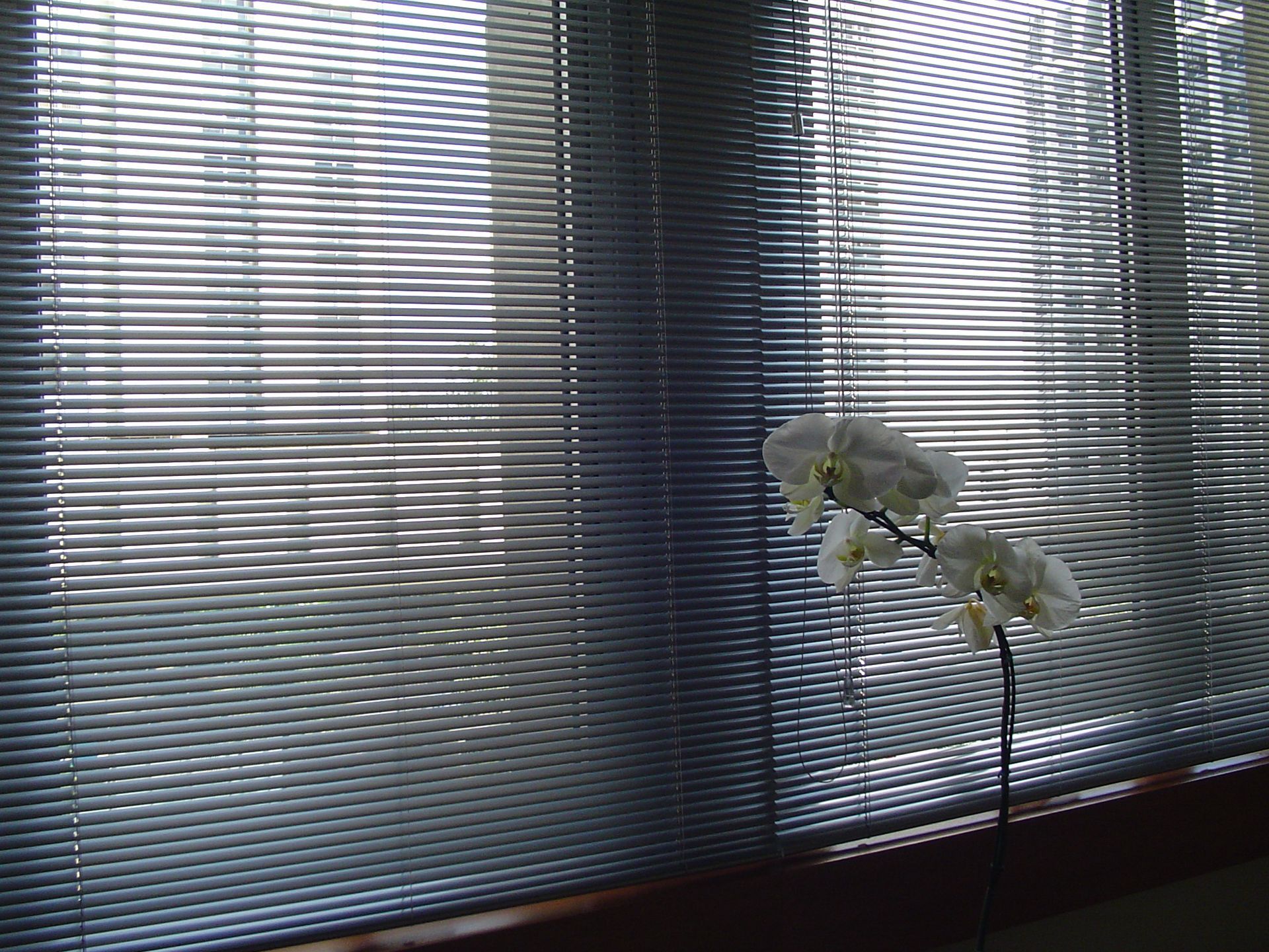 Persiana Horizontal em Alumínio 16mm, 25mm e 50mm - Persianas Ipiranga em SP