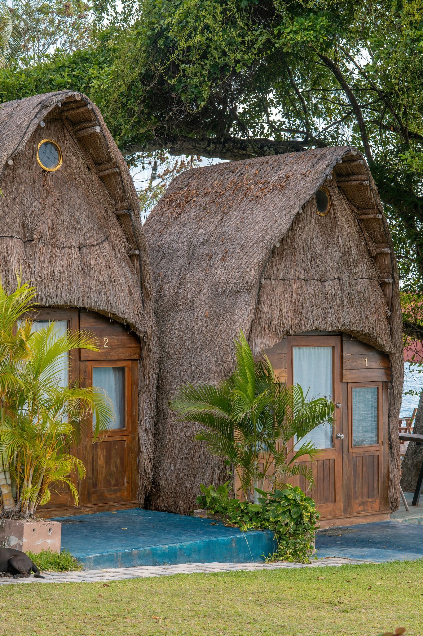 Dos pequeñas cabañas contiguas con techos de paja, puertas de madera y escalones pintados de azul, situadas en un entorno ajardinado.