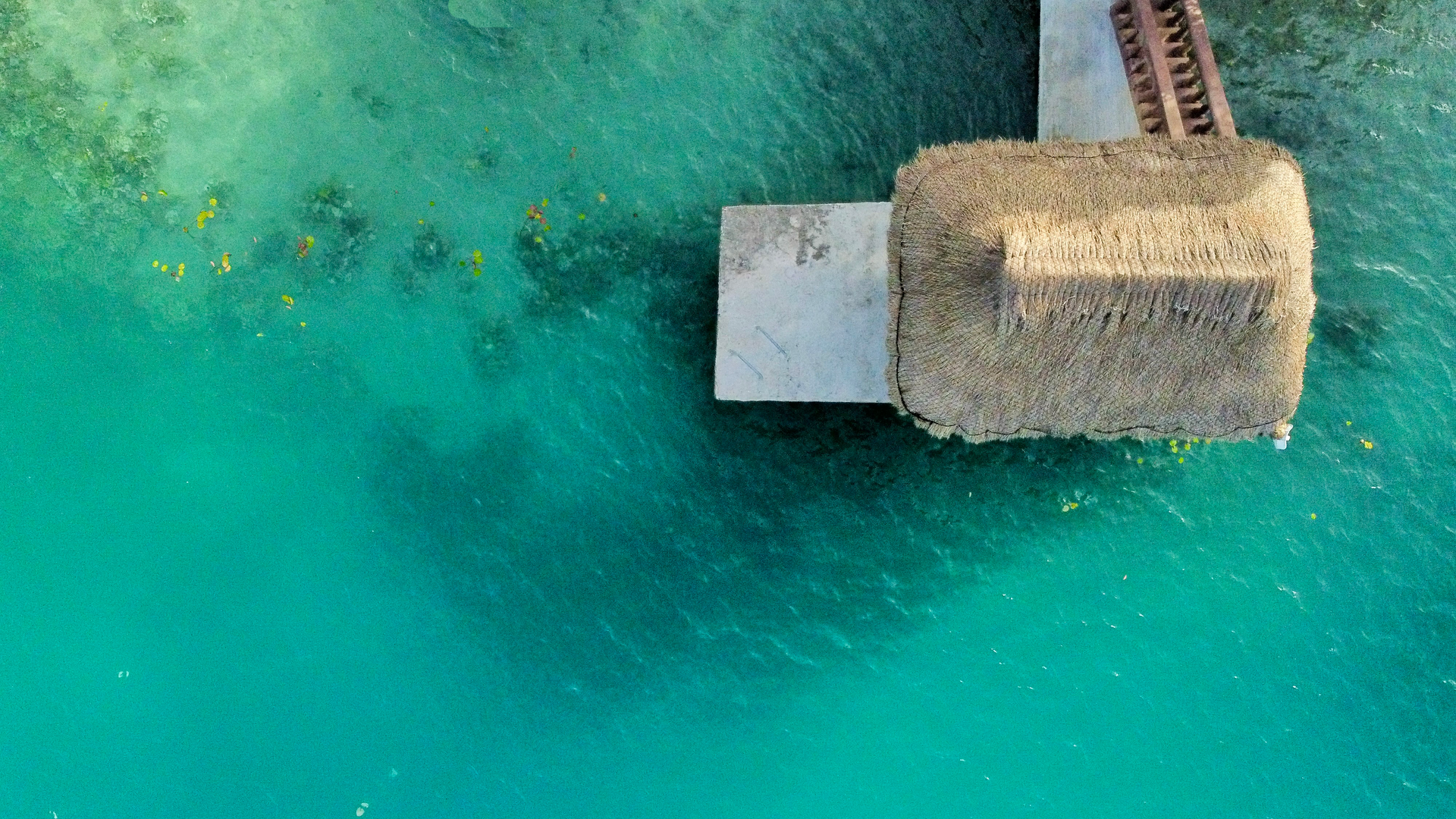 Vista aérea de una cabaña con techo de paja que se extiende sobre aguas tropicales de un vibrante color turquesa.