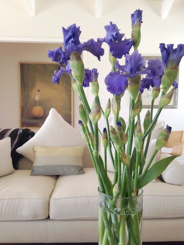 Purple flowers in a vase in front of a white couch