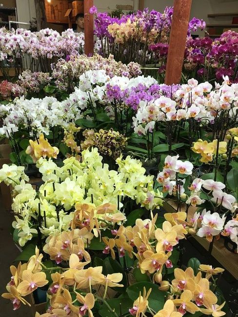 A bunch of different colored flowers are sitting on a table.