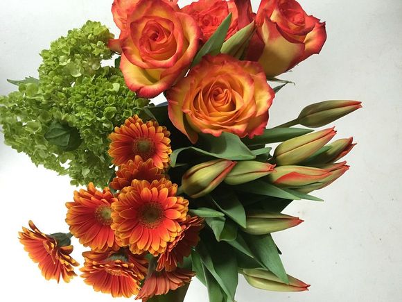 A bouquet of orange flowers with green leaves on a white background