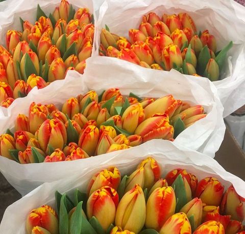 A bunch of orange and yellow flowers are wrapped in white paper