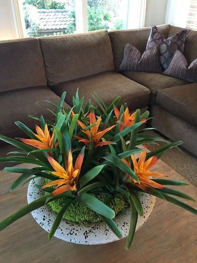 A vase of flowers is sitting on a table in front of a couch.