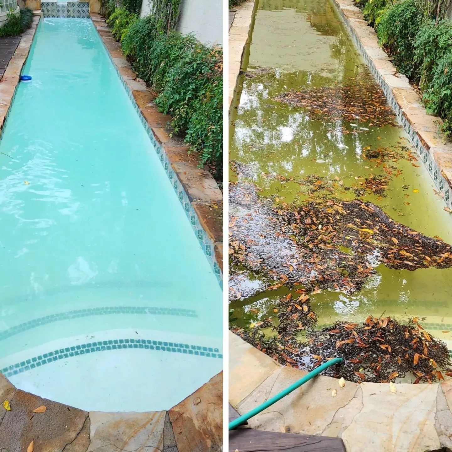Pool before and after cleaning: clear turquoise water and dirty pool filled with leaves and debris.