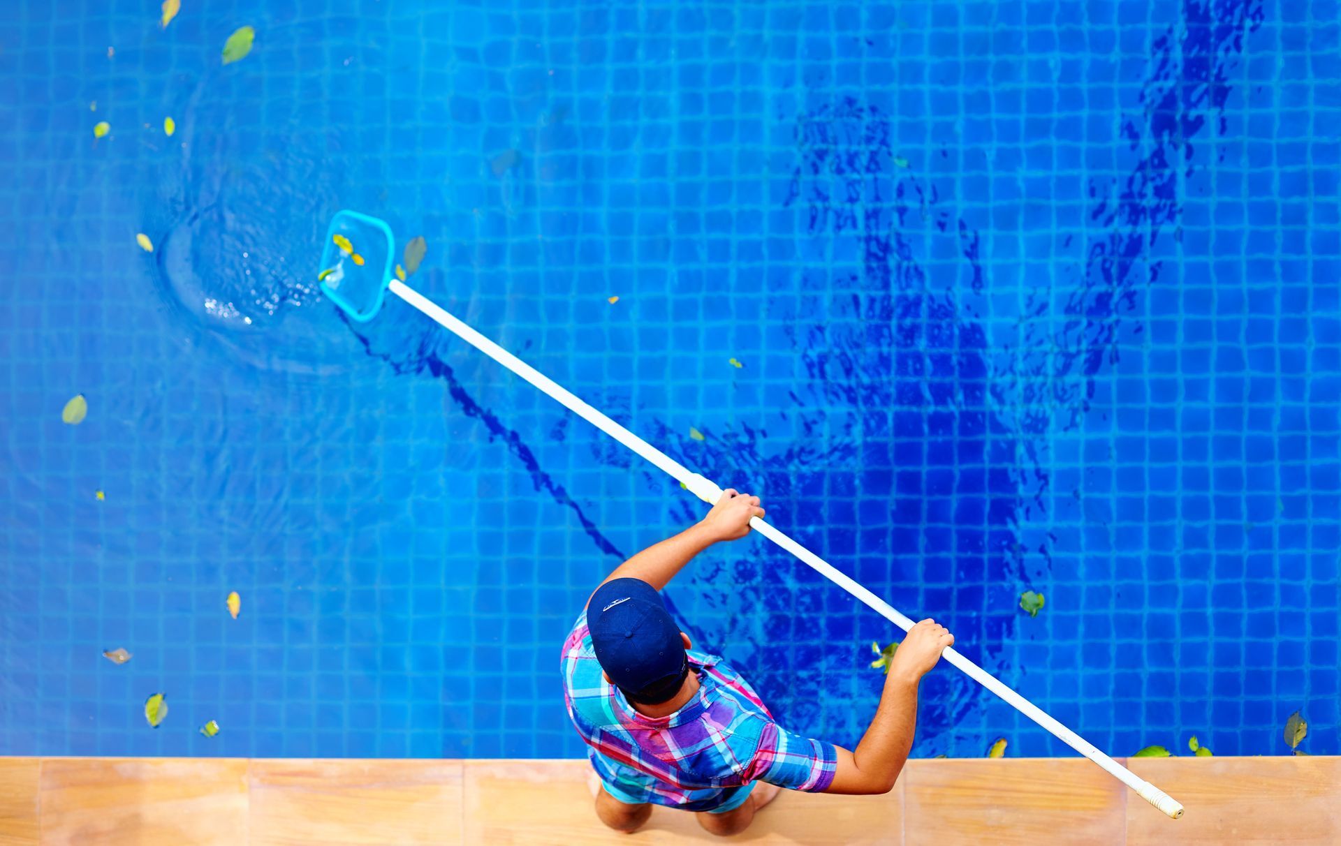 Person cleaning a blue tiled pool with a net, seen from above.