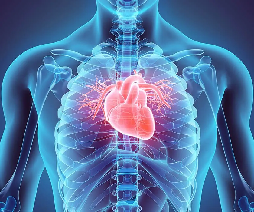 Cardiovascular Health