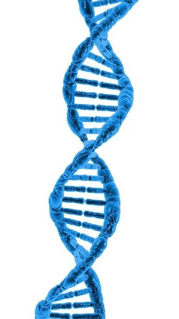 DNA