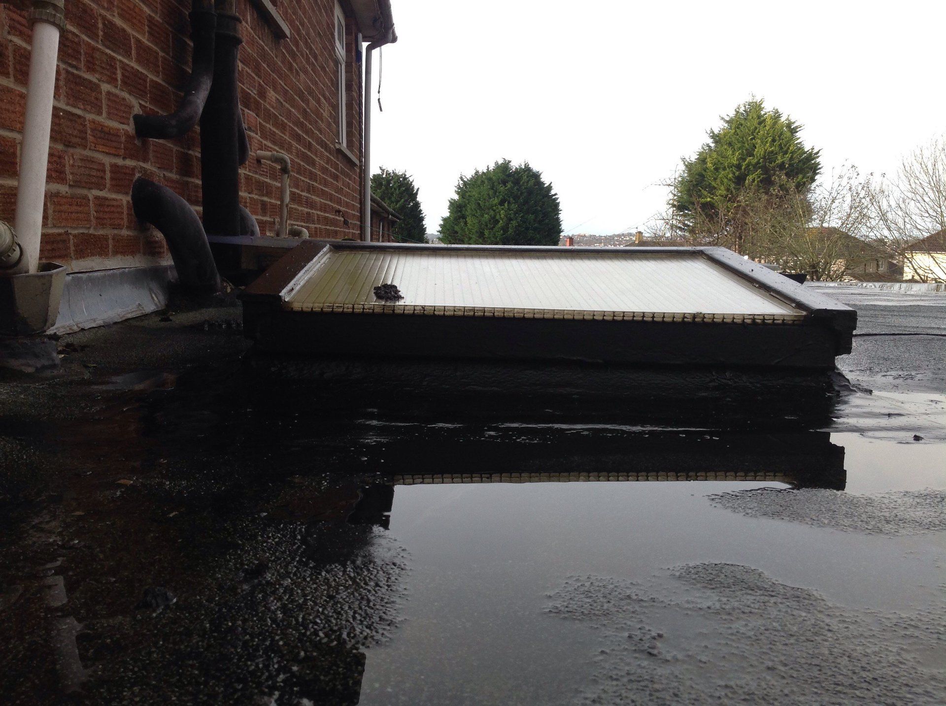 Fibreglass Flat Roof