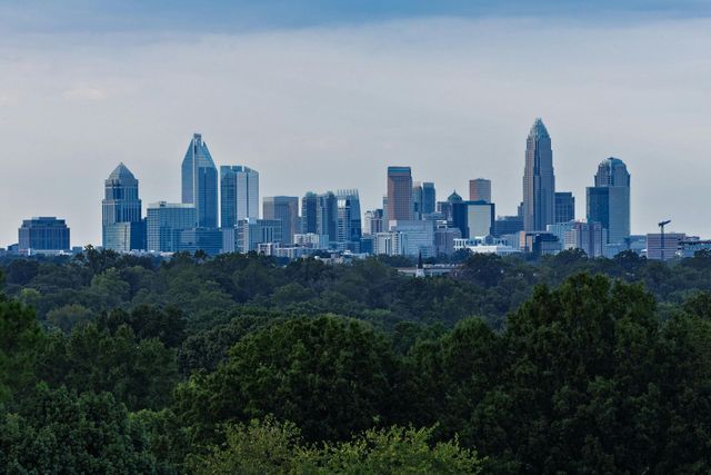 City skyline with tall buildings above a dense green treeline under a cloudy sky