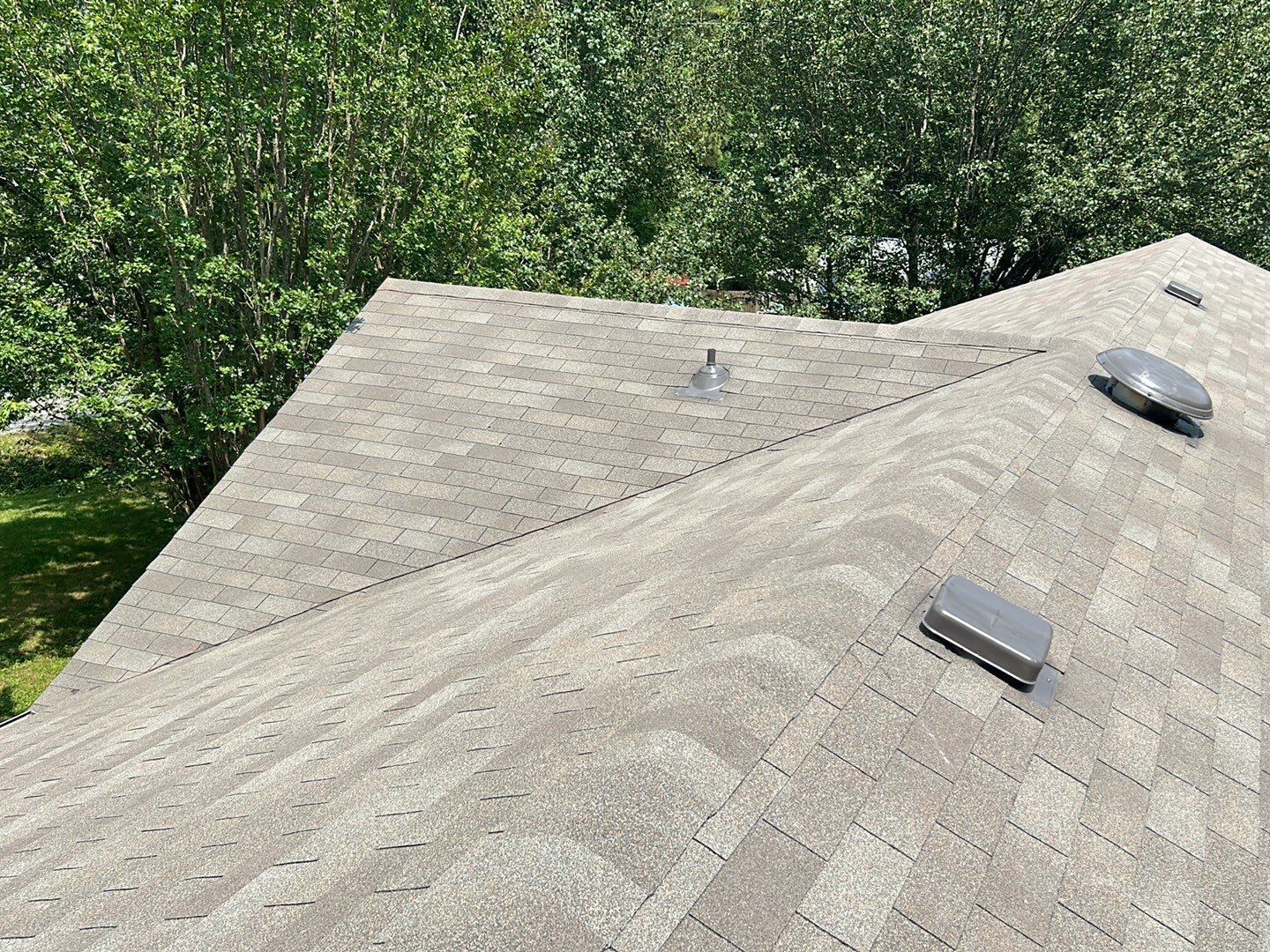 A roof covered in gray shingles, with vents and a tree line in the background.