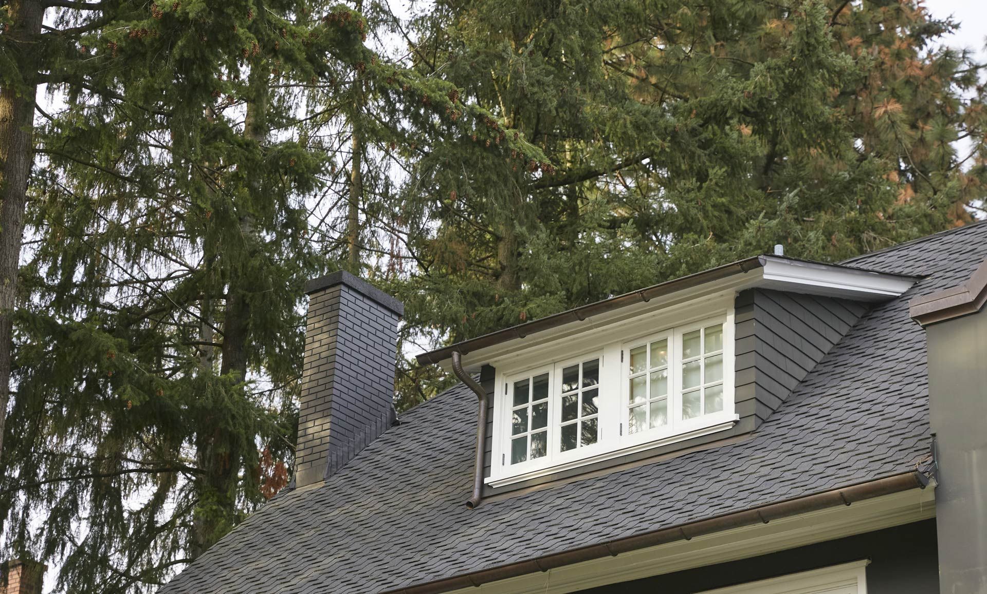 A dark gray tiled roof with a white-framed window, black chimney, and evergreen tree background.