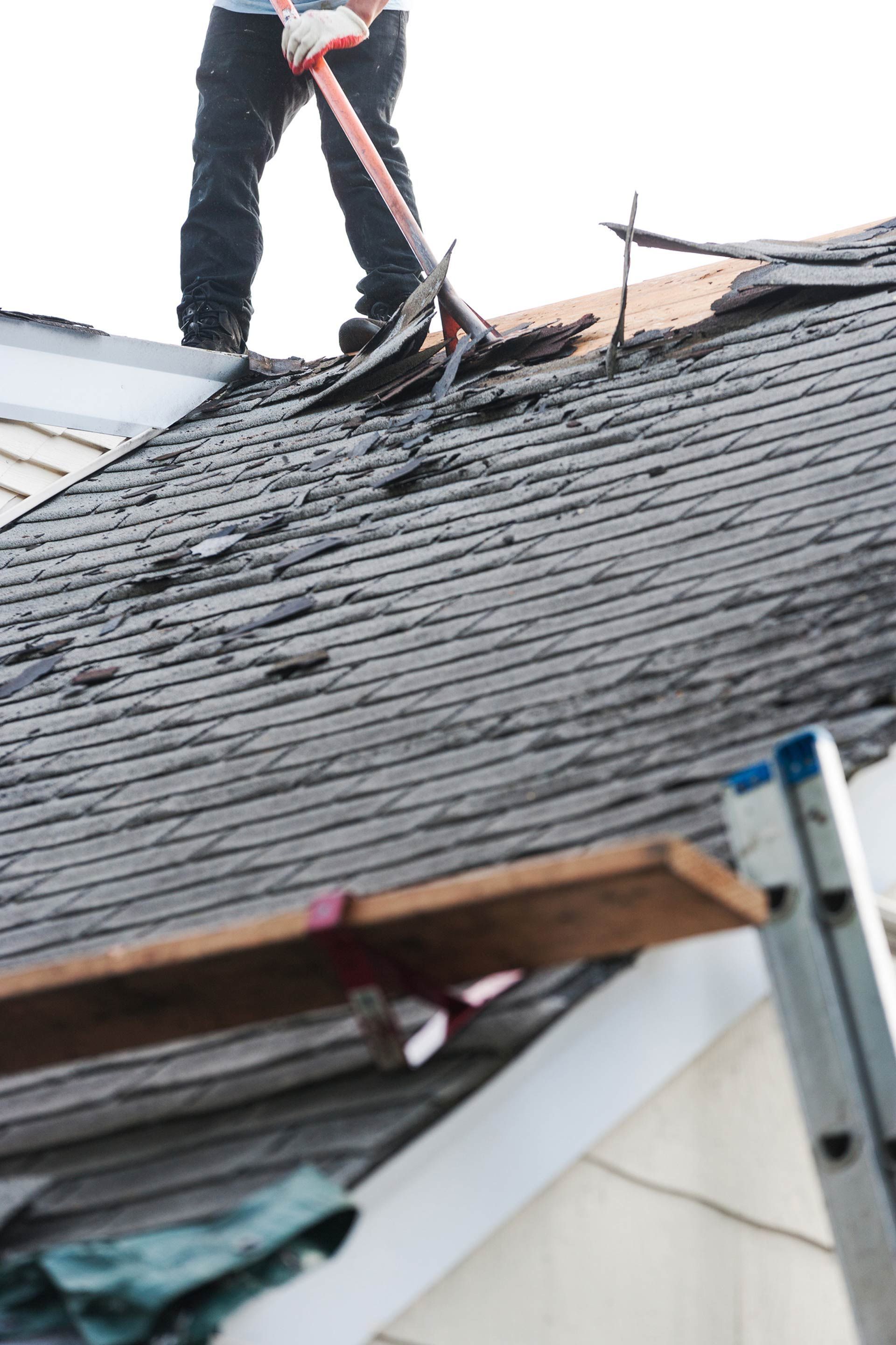 Person removing old roofing shingles with a tool on a rooftop. A ladder and wood plank are in the foreground.