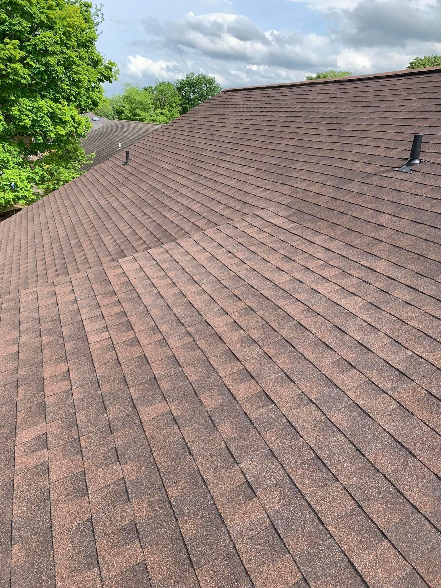 Brown shingled roof with a few vents, angled towards the sky. The sky is cloudy with trees on the side.