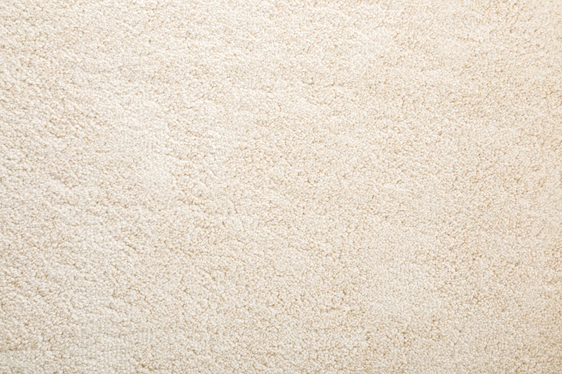 Close-up of a beige, plush, textured carpet.