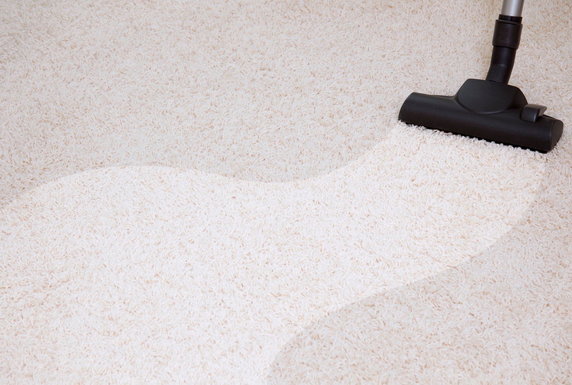 Vacuum cleaner cleaning a white, fluffy carpet.