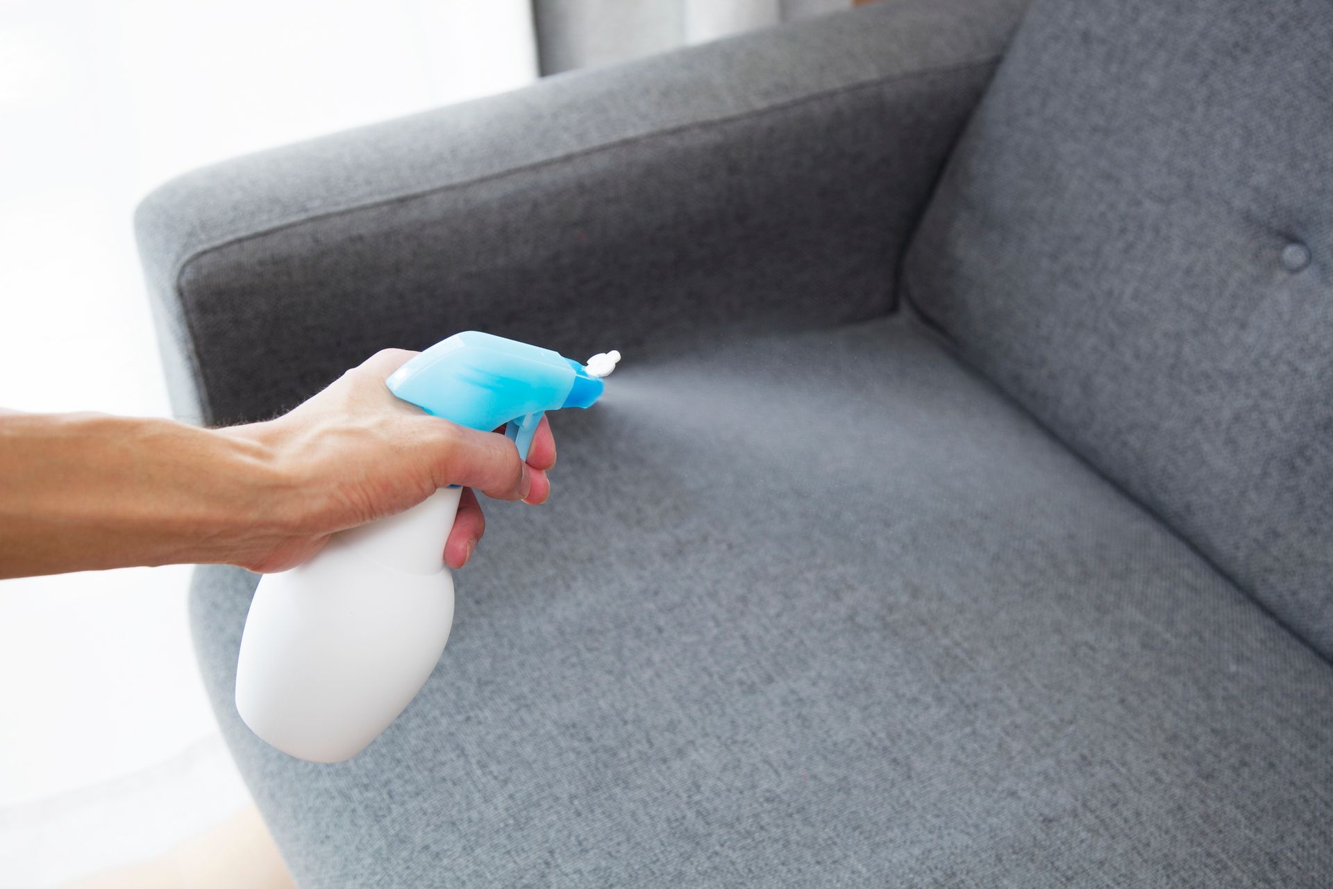 Carpet being cleaned with a steam cleaning tool, leaving clean lines.