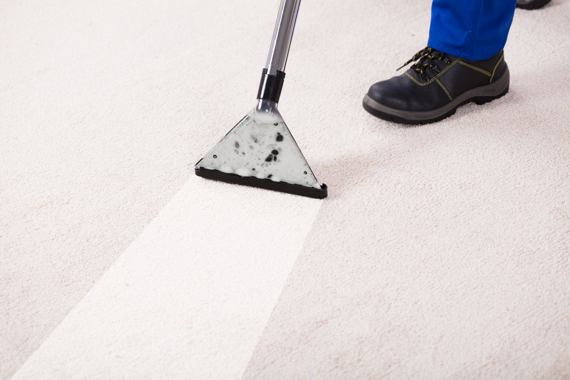 Person cleaning a white carpet with a carpet cleaner.