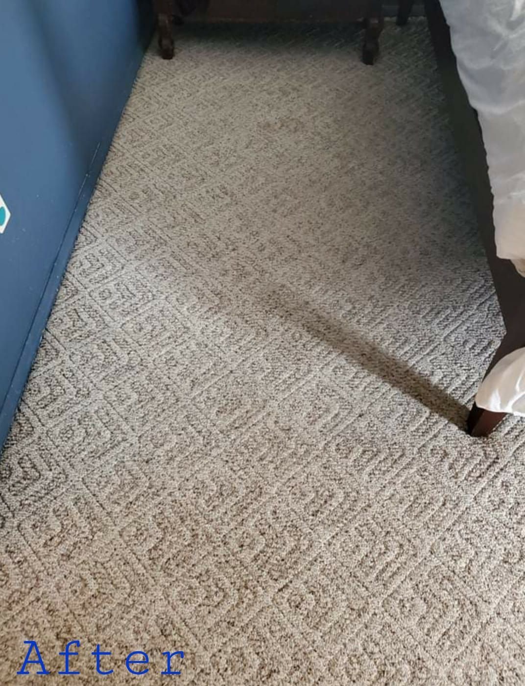 Light beige patterned carpet next to a blue wall and dark brown bed frame. 