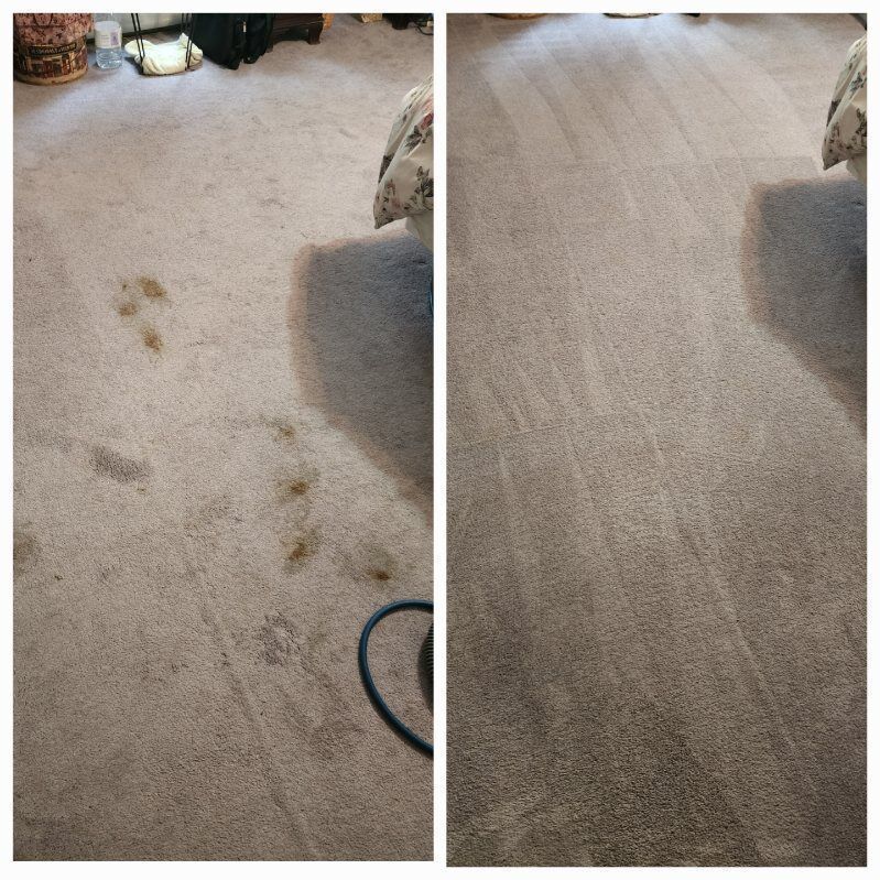 Before and after of carpet cleaning; dirty, stained carpet transformed to clean.