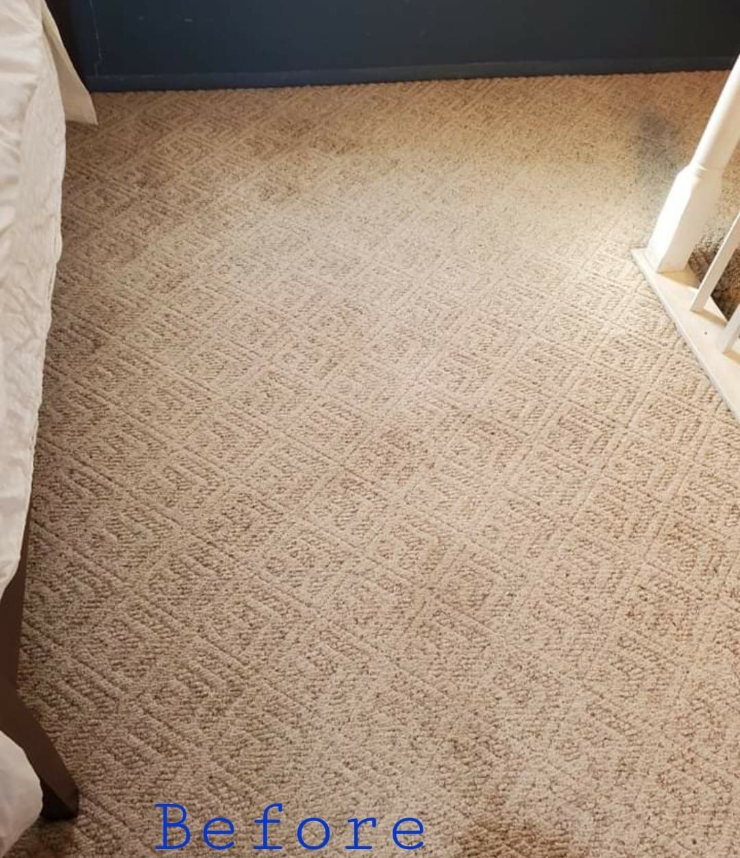 Beige carpet in a room. A white bed frame is on the left. A section of blue wall is at the top.