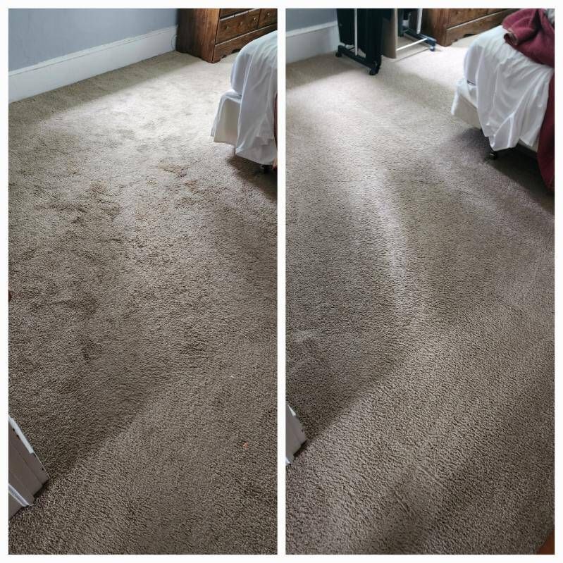 A split image shows a carpet before and after cleaning, demonstrating the impact of the cleaning.