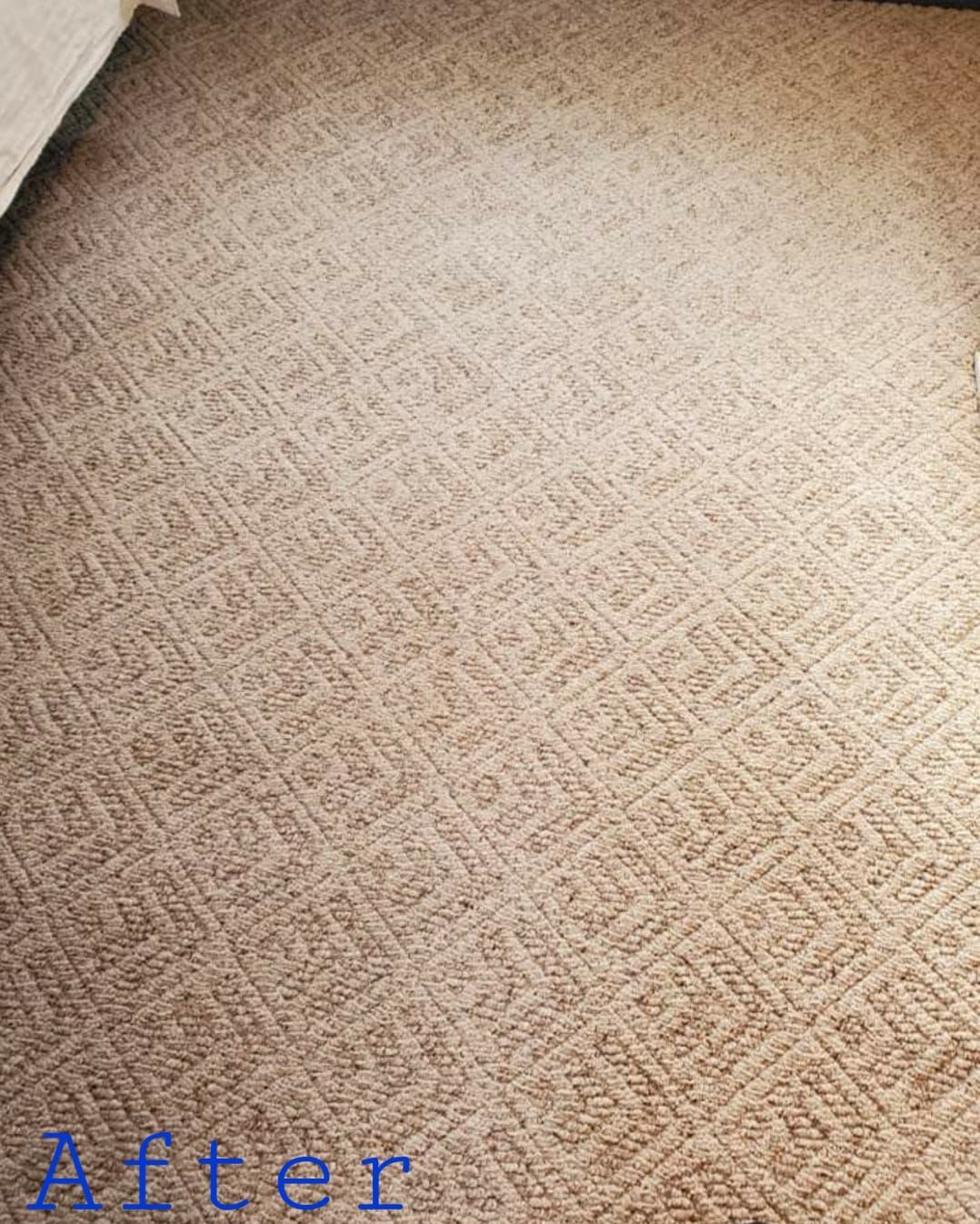 Clean, light brown carpet with a diamond pattern; 