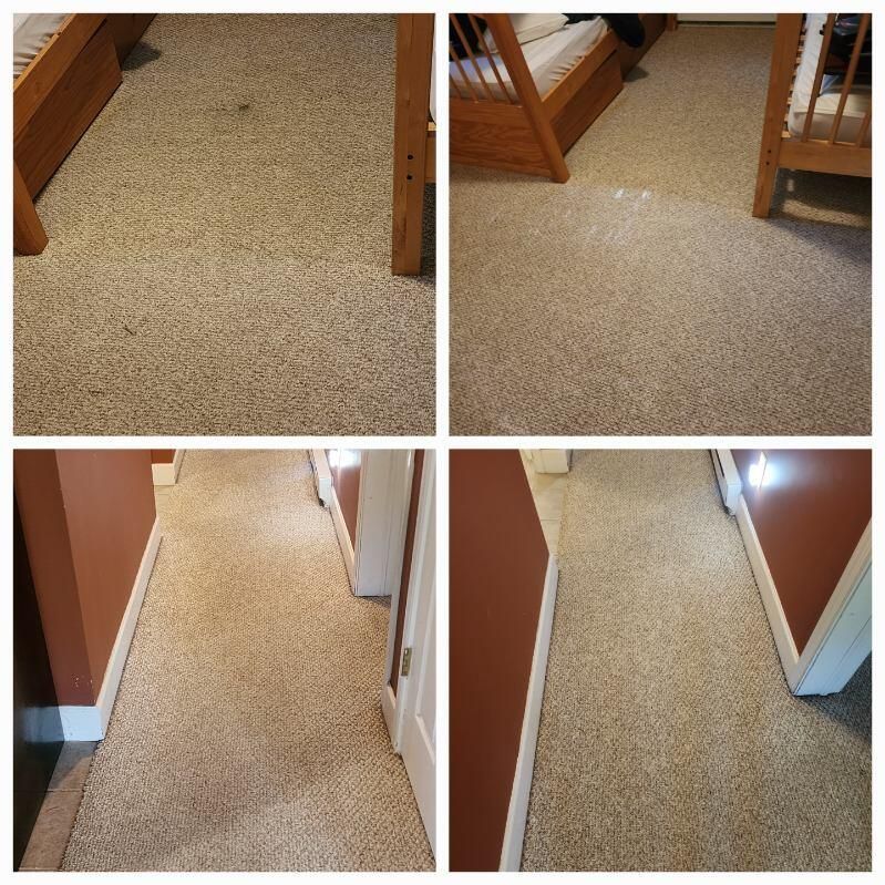 Four split-screen shots showing carpet cleaning: dirty carpet compared to clean, light-colored carpet.