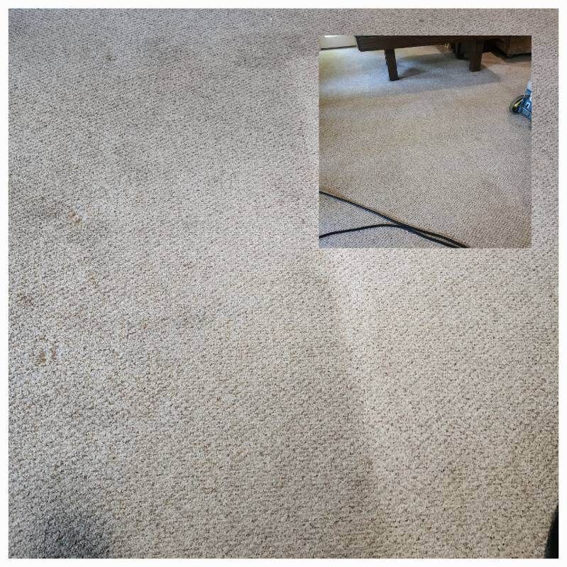 Carpet with a cleaned section, showing a before and after of the carpet cleaning process.
