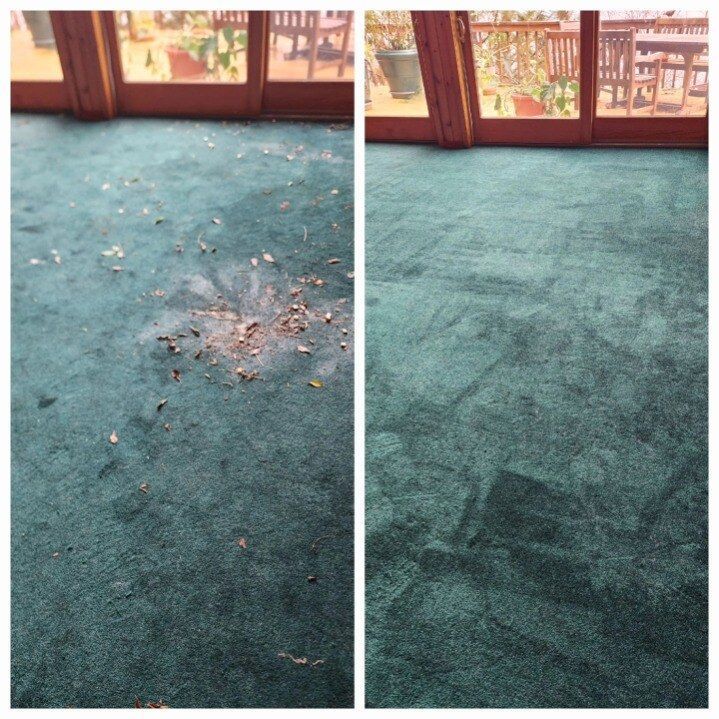 Before-and-after of a teal carpet. Left side: dirty with debris. Right side: clean and vacuumed. Windows in background.