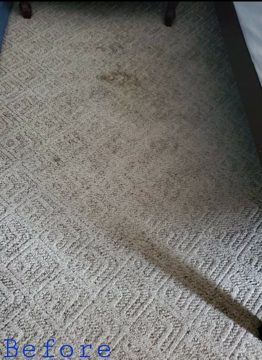 Beige carpet with several dark stains, showing before cleaning under a table.