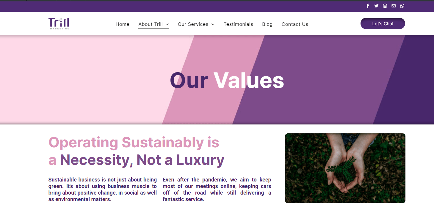 Trill New Website Our Values
