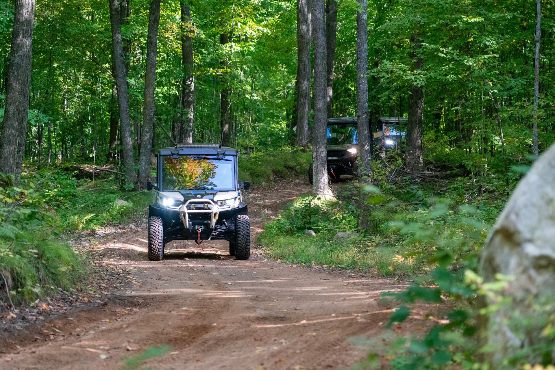 A river surrounded by trees and rocks on a sunny day
