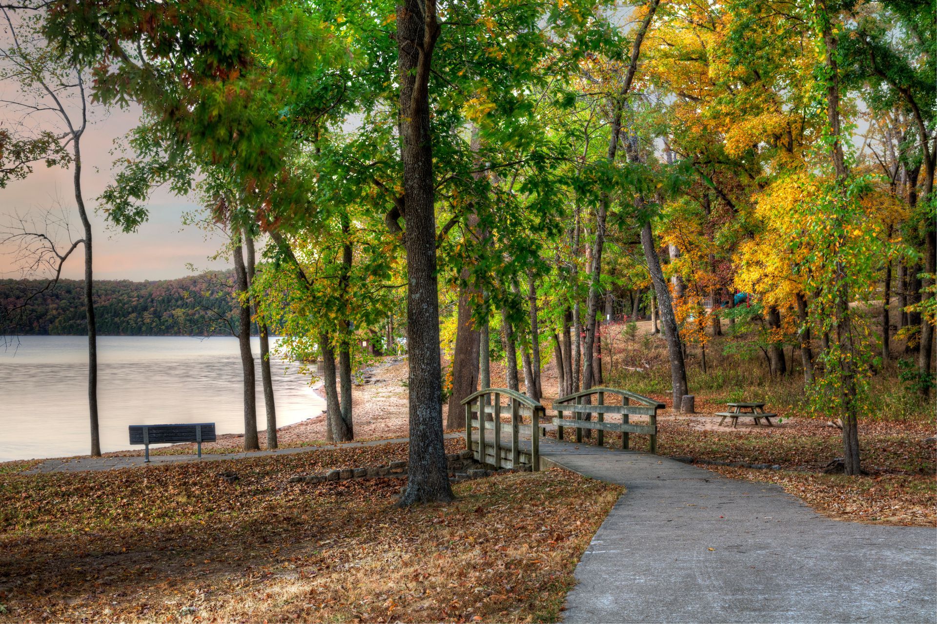 A path in the woods leading to a lake