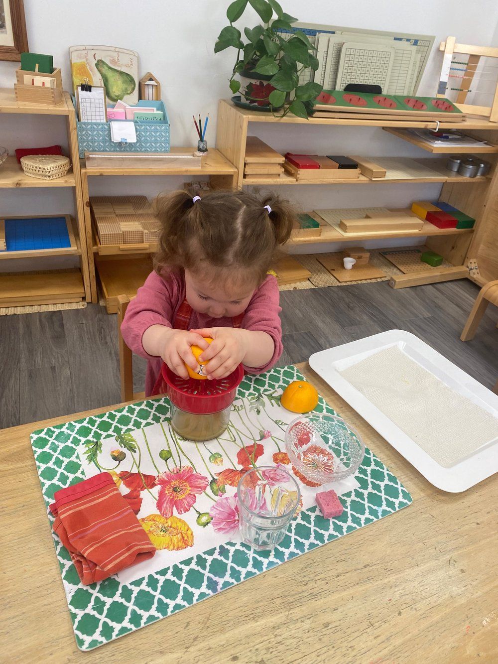 A little girl is sitting at a table squeezing an orange.