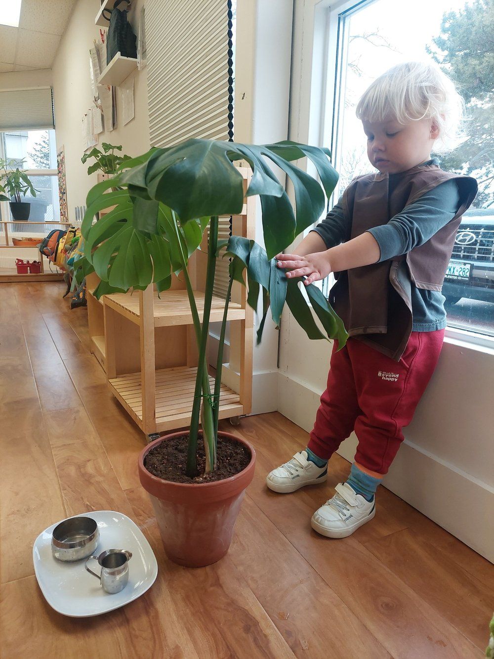A little boy is standing next to a potted plant.