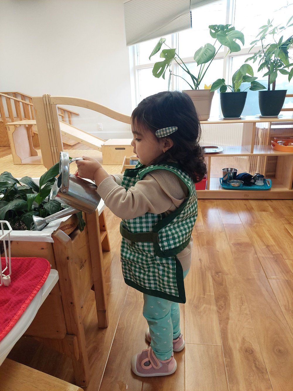 A little girl is watering plants in a room.