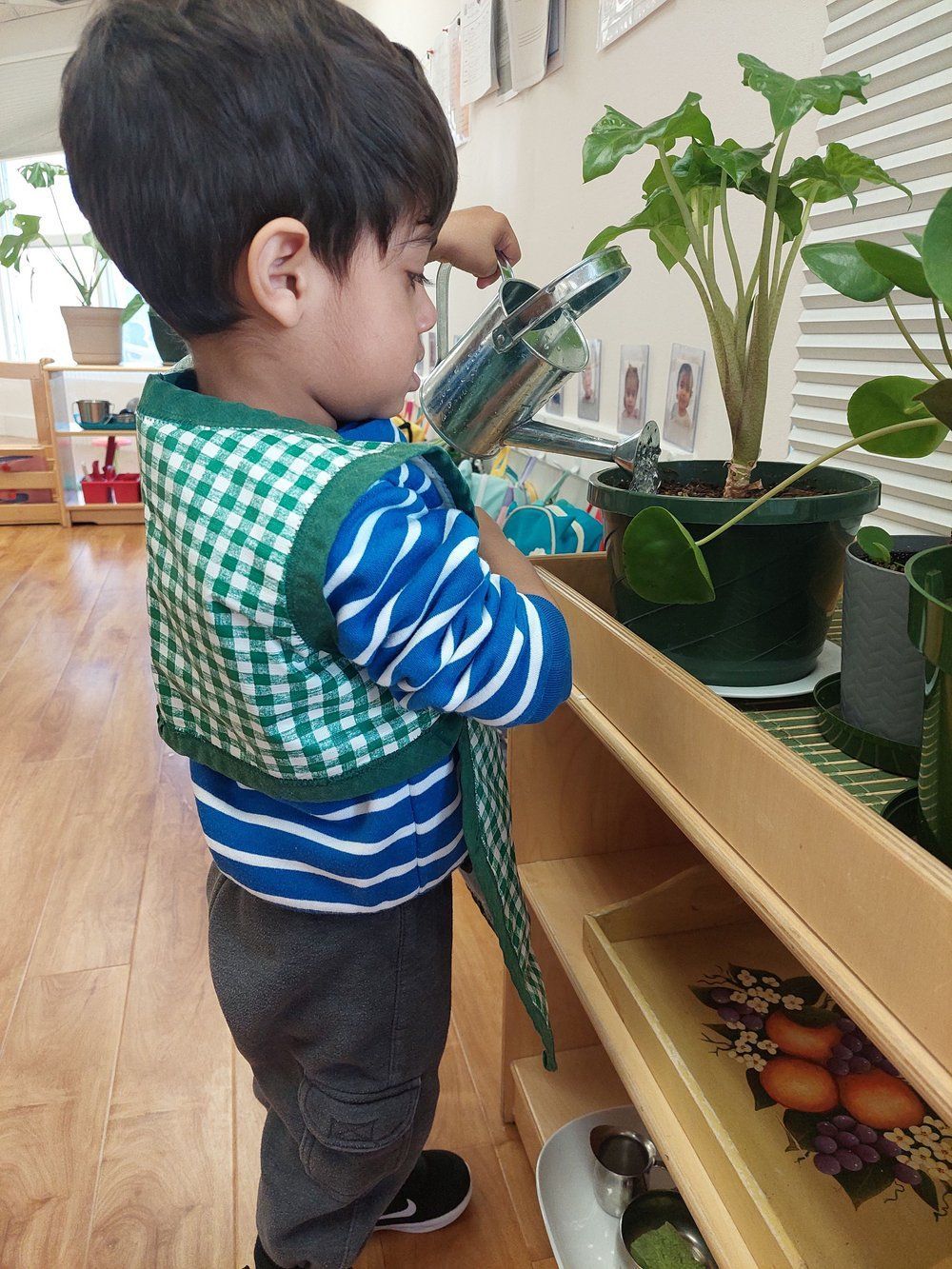 A little boy is standing in front of a shelf with plants on it.