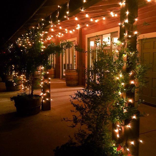 Warm string lights illuminate a building's porch, trees, and pillars at night.