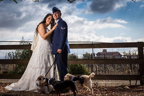 Couple in wedding attire with small dogs, posing near a wooden fence, cloudy sky background.