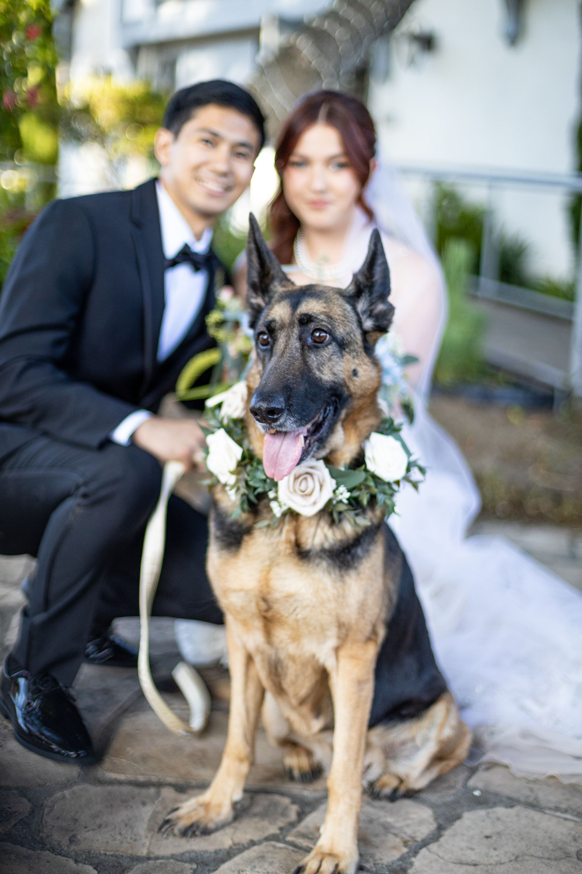 Wedding ceremony setup with white chairs on a grassy lawn; bride standing near floral arch, red building in background.