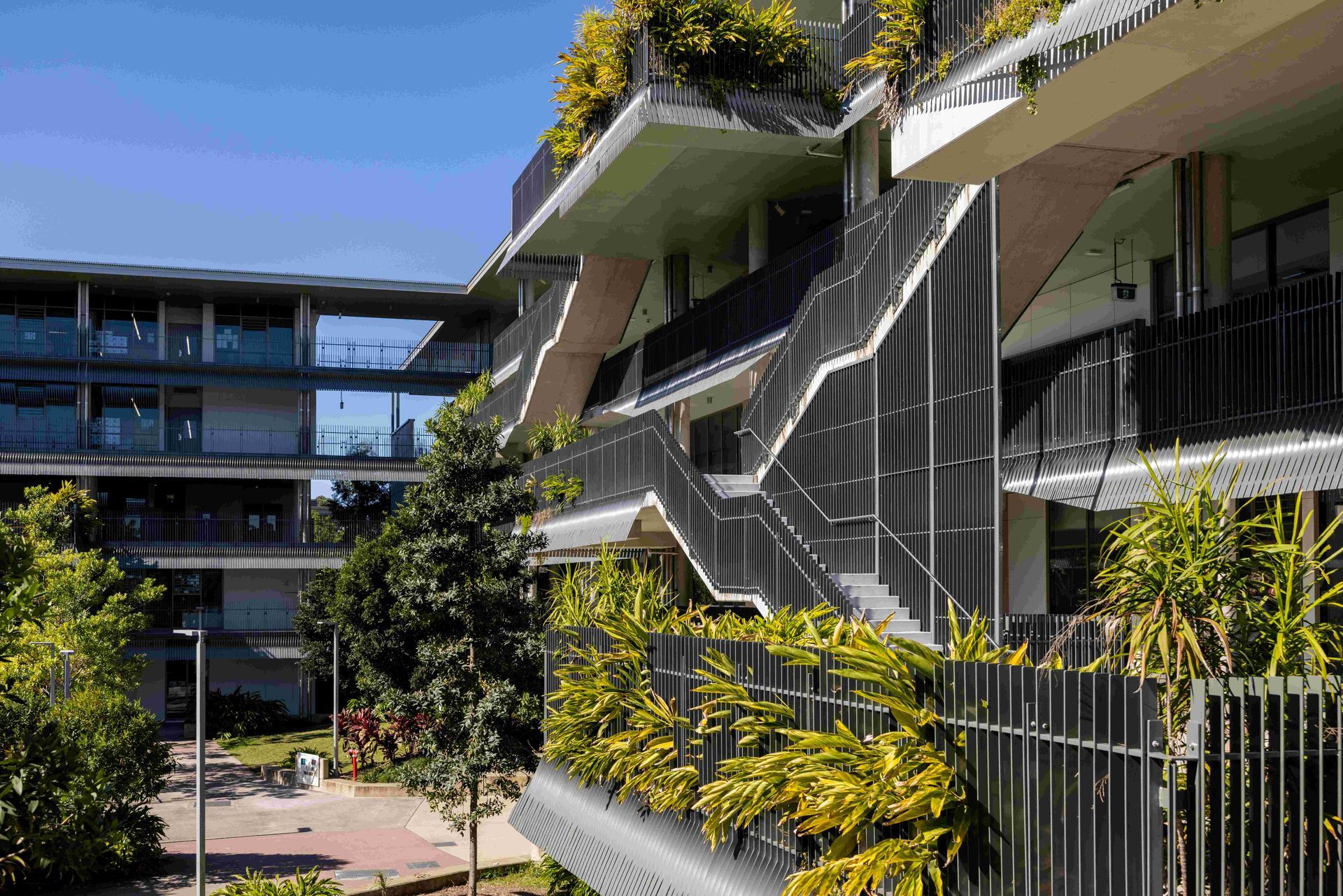 A large building with stairs leading up to the top of it surrounded by trees.