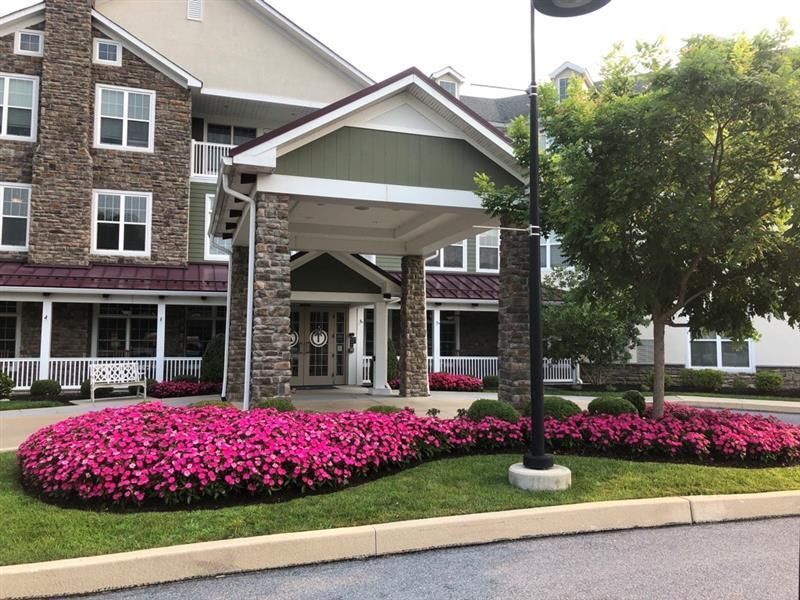 a newly installed commercial landscape featuring bright pink flowers and lush, green grass