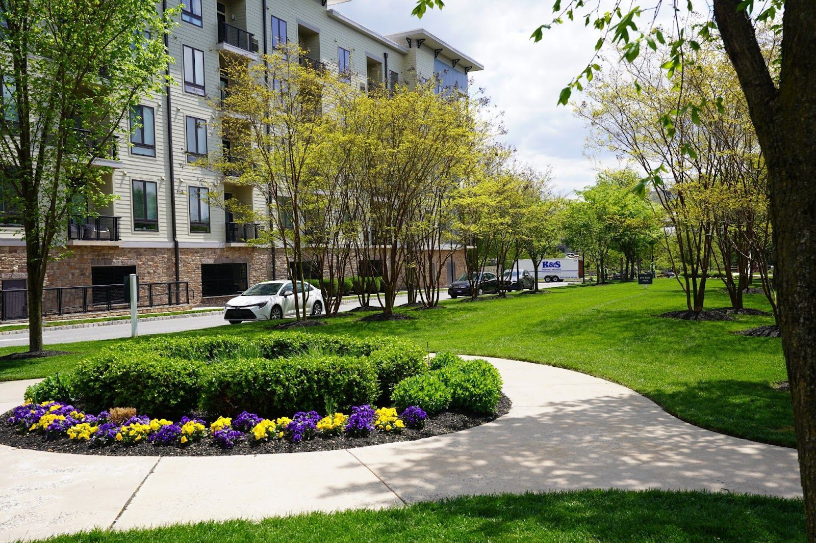 a recently installed landscape featuring new yellow and purple flowers, shrubs, trees, grass, and walkways