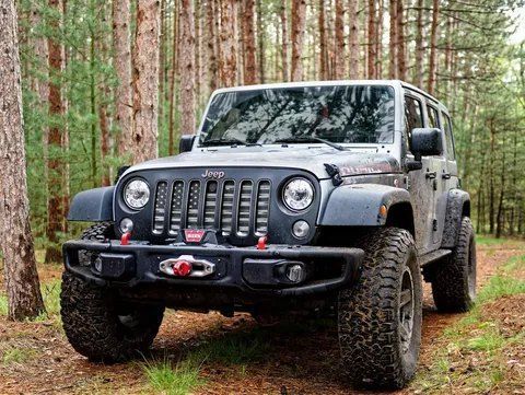 A Jeep is Parked in the Middle of a Forest — CS Mechanical in Gormans Hill, NSW