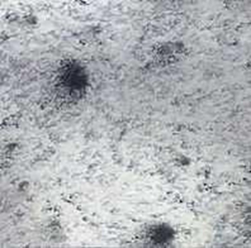 Storm Antique Mirror — Atlanta, GA — EGM Tempering