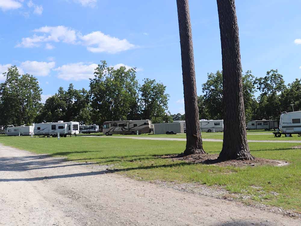 A lot of rvs are parked in a grassy area
