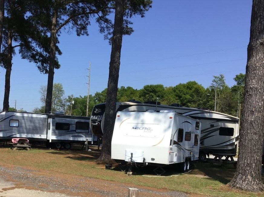 A row of rvs are parked in a grassy area next to trees.