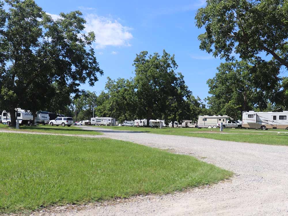 A lot of rv 's are parked in a grassy area.