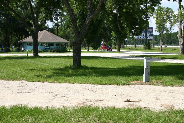 A park with trees and a building in the background